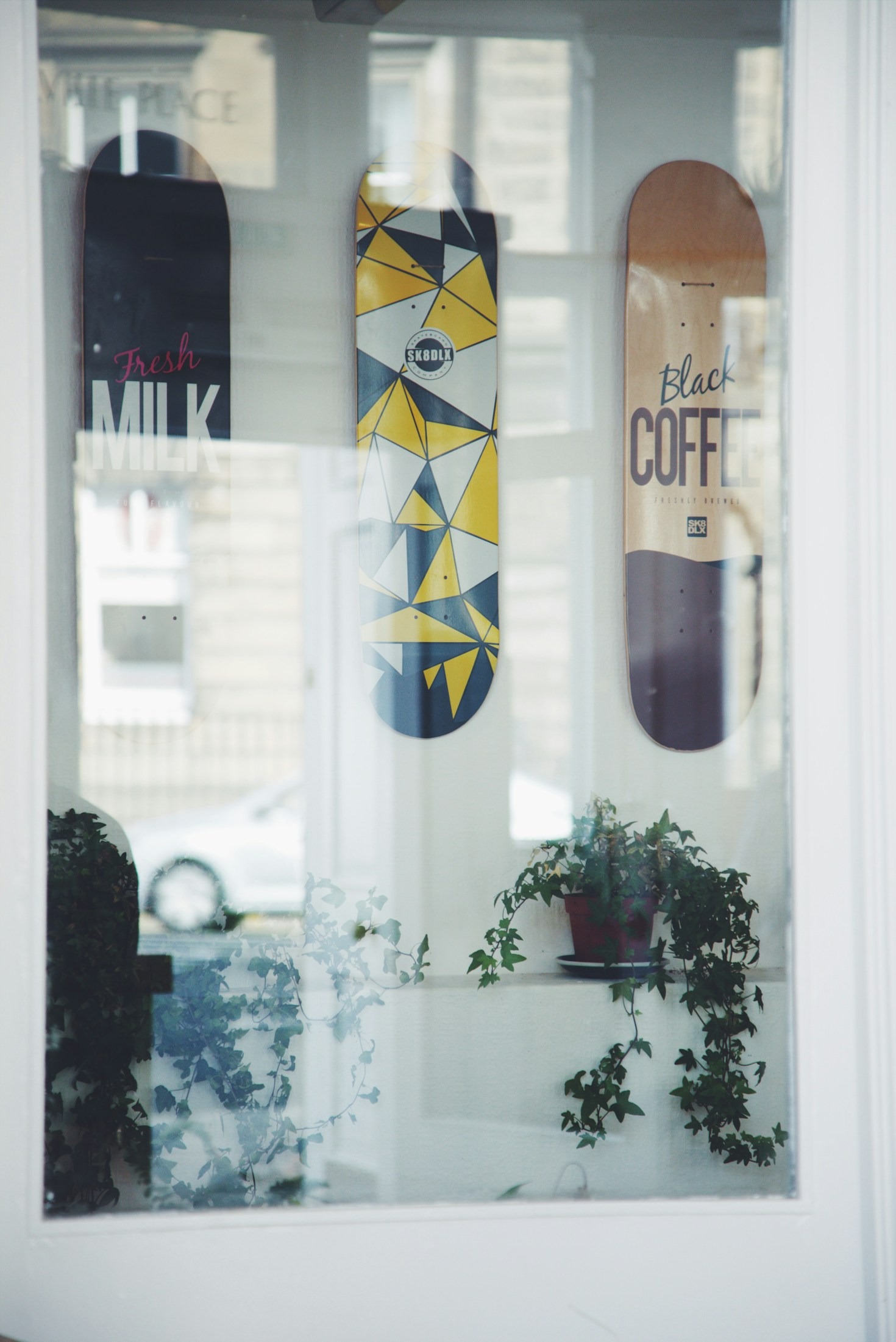 Streetwear Meets Seed Banks: The Story Behind Our Aesthetic